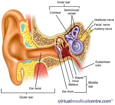 Dealing with ear infections